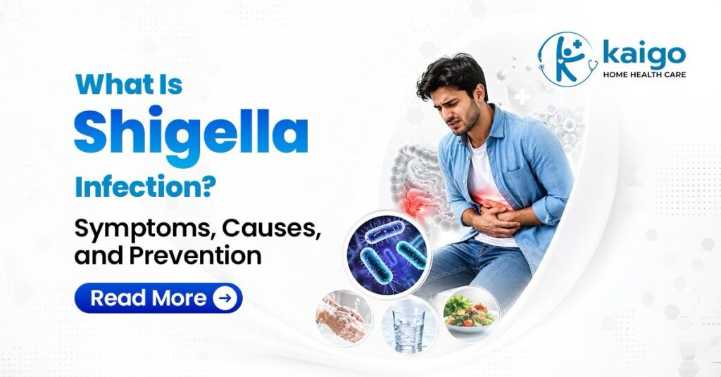 What Is Shigella Infection? Symptoms, Causes, and Prevention
